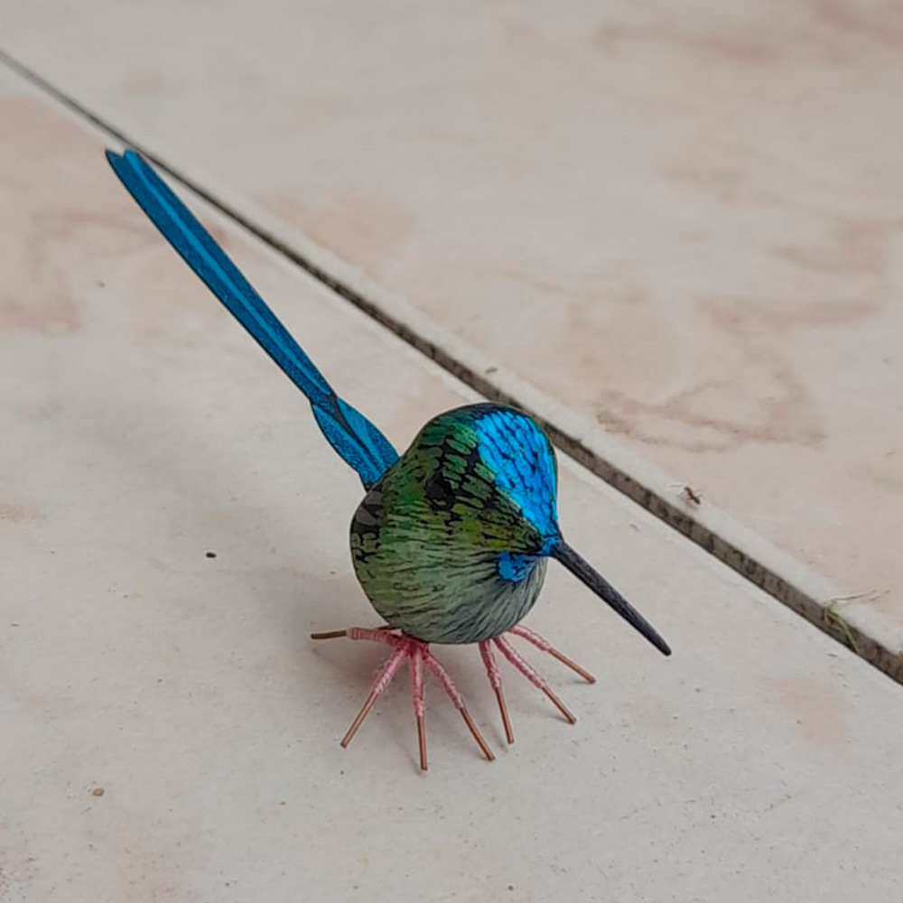 colibri1